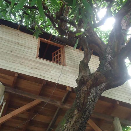 Casa Na Arvore Salvador Buitenkant foto
